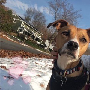 Meet your Posher, Leah